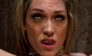 Lily LaBeau gets pegged down up and toyed with a sextoy