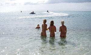 Six beautiful kittens have a lot of fun on the beach near restless ocean